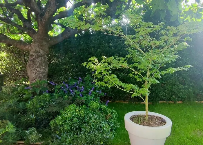 Frgk Coastal House , Garden Near Beaches